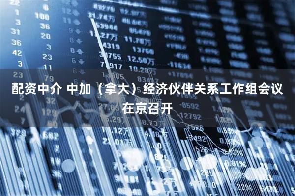 配资中介 中加（拿大）经济伙伴关系工作组会议在京召开