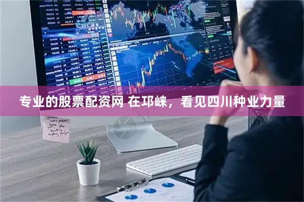 专业的股票配资网 在邛崃，看见四川种业力量
